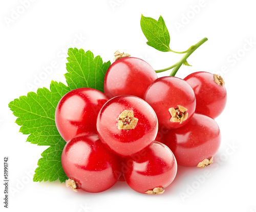 Isolated berries. Red currant fruits isolated on white background