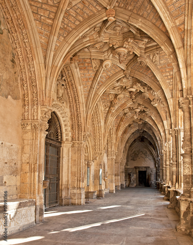 Cloister of the famous cathedral of Leon, Spain