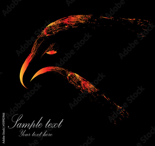 Vector image of eagle head on black background