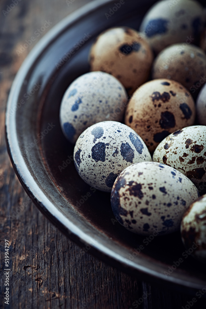 Obraz premium Quail's Eggs