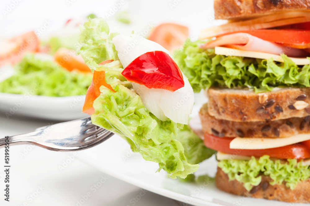 Ham and cheese sandwiches on plate Ham and cheese sandwiches on plate