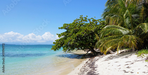 Panorama on a Caribbean beach with almond and coconut tree  Zapatillas island  Central America  Panama