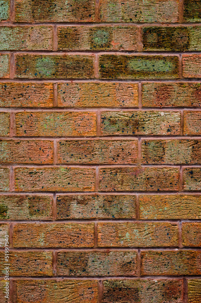 Red old brick wall - Texture and backdrop