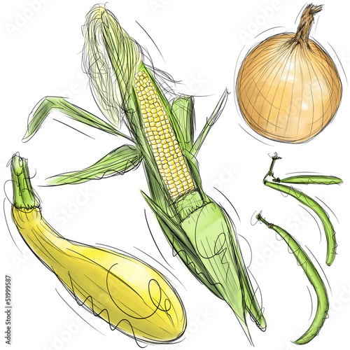 Corn, onion, squash, and green beans