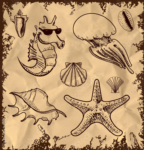 Sea animals collection on vintage background