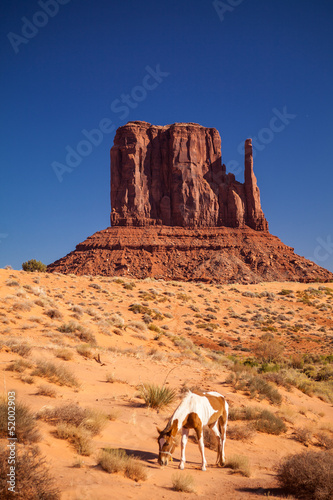 Horse and Monument Valley, USA
