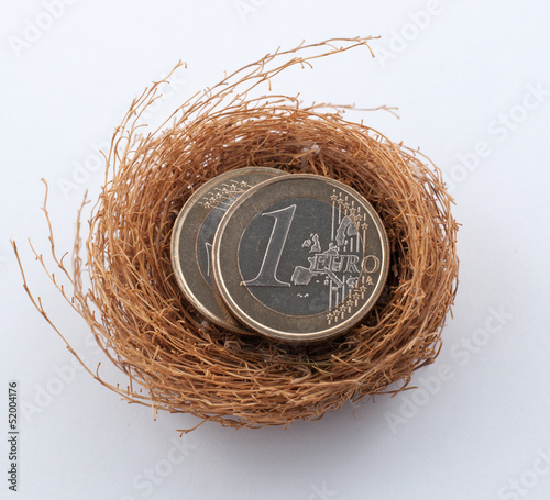 Euro coins in nest