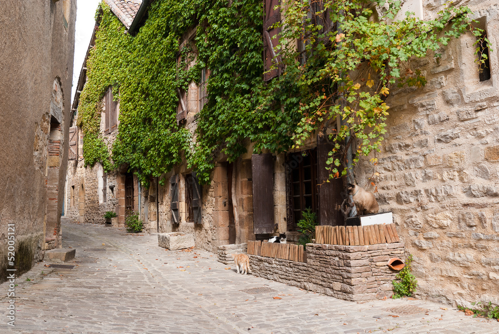 Fototapeta Medieval street in Cordes sur Ciel
