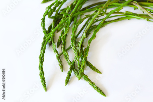 Thin pencil green asparagus on white, isolated, detail