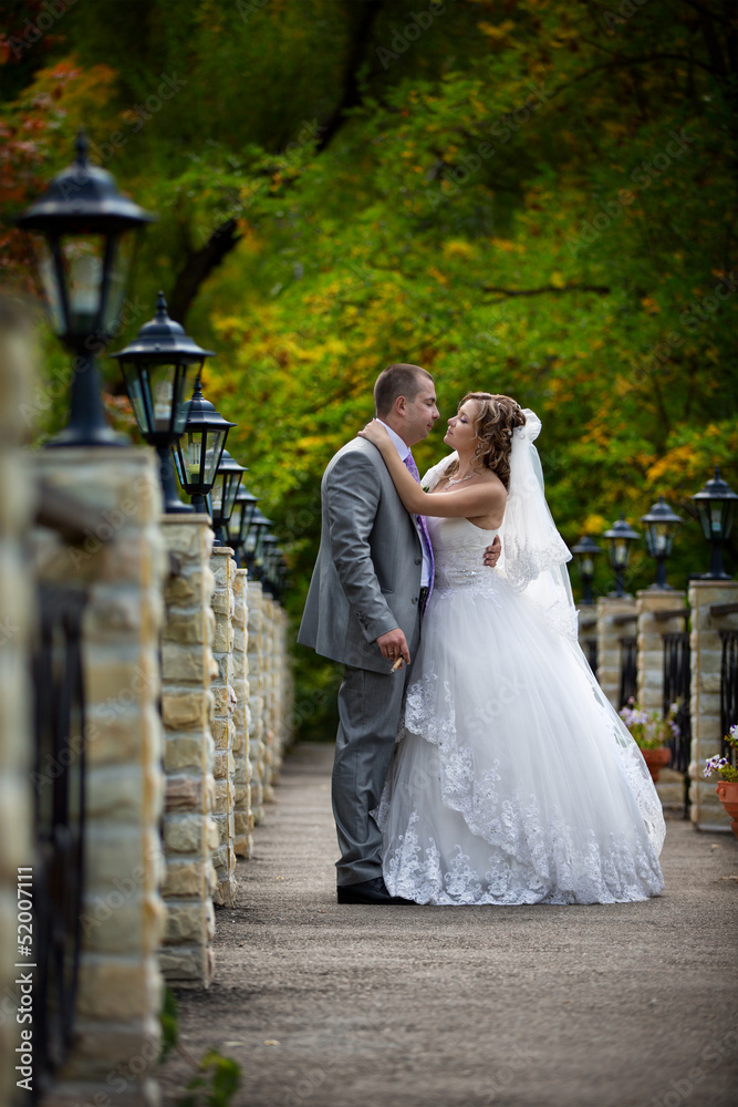 Fototapeta premium the bride and groom
