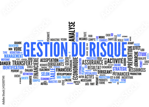 gestion du risque (tag cloud)