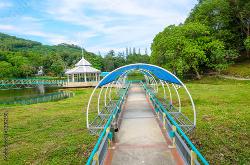Bridge into the river in the park