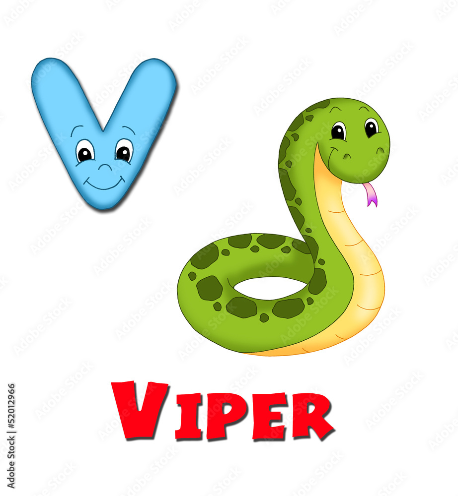 Fototapeta premium alfabeto, vipera