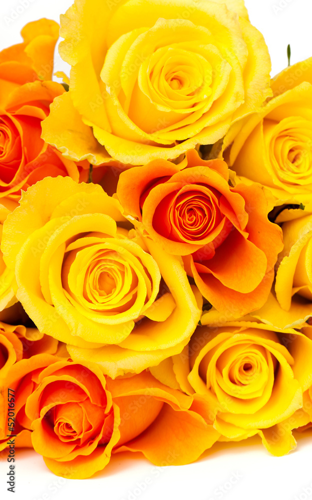 yellow and orange roses yellow and orange roses