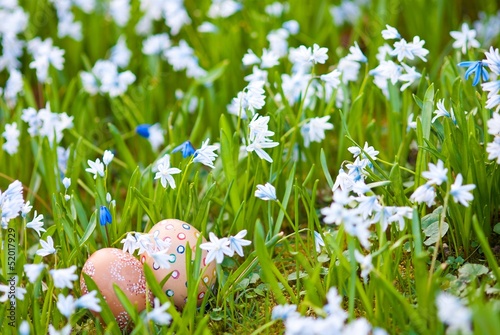 Zwei handbemalte Ostereier zwischen weißen Puschkinien (Puschkinia scilloides) im Stadtpark Lüneburg, Niedersachsen, Deutschland, Europa photo