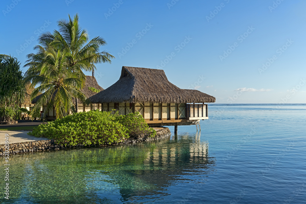 Französisch-Polynesien-Moorea-6295