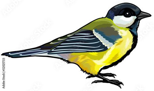 great titmouse
