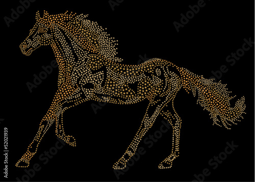 Horse of the stars