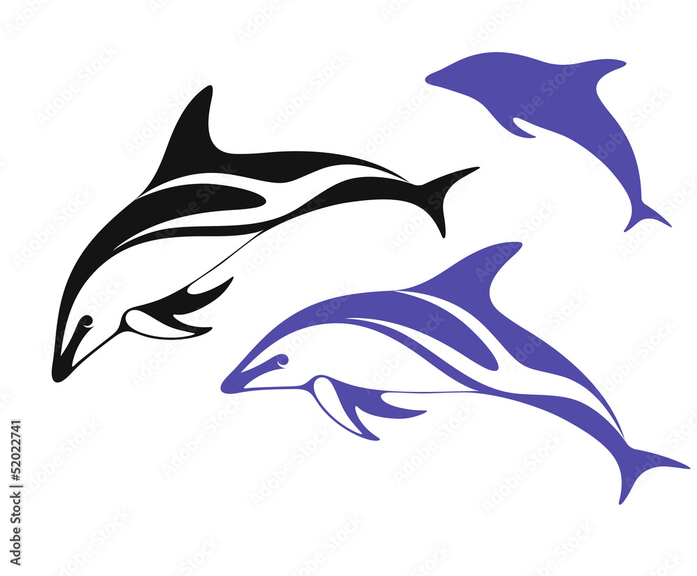 Fototapeta premium Dolphin