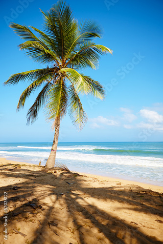 Fototapeta Naklejka Na Ścianę i Meble -  Caribbean beach