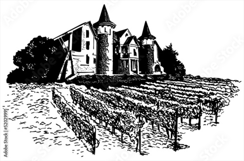 Castle - vineyard