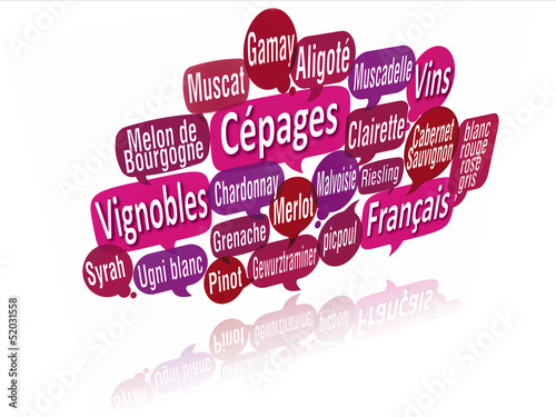 nuage de mots bulles 3d : cépages de vins français photo