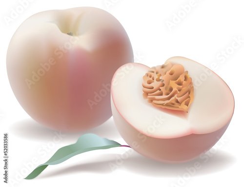 Fruits d'été : pêche entière et coupée, feuille, noyau