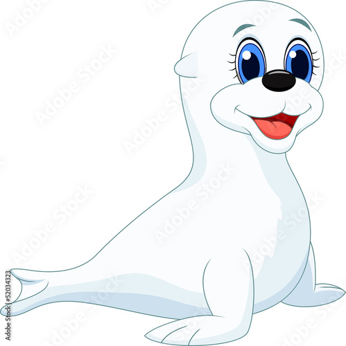 Baby seal cartoon
