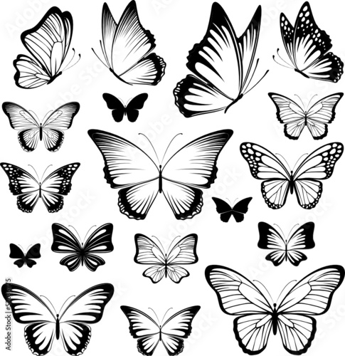 butterfies tattoo silhouettes #52036775