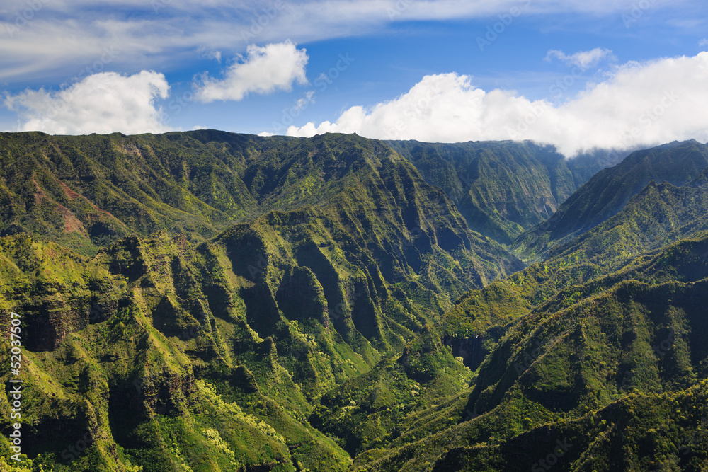 Naklejka premium Kauai Lush Tropical Landscape