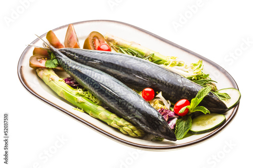 Atlantic raw sardine photo