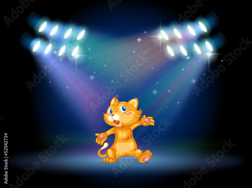 A stage with a playful cat