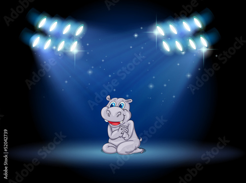 A hippopotamus at the stage with spotlights