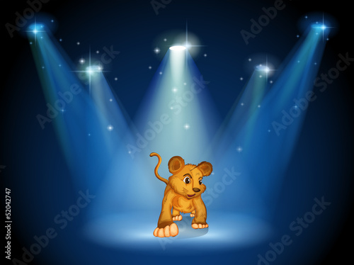 A tiger at the stage with spotlights