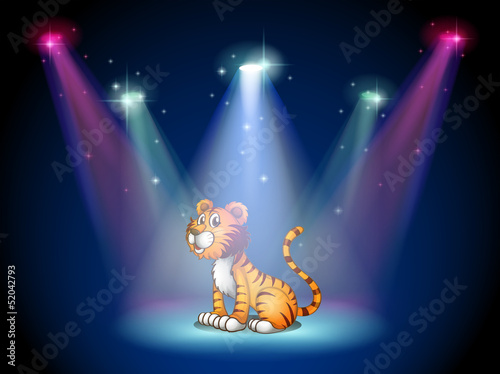 A tiger sitting on the stage with spotlights