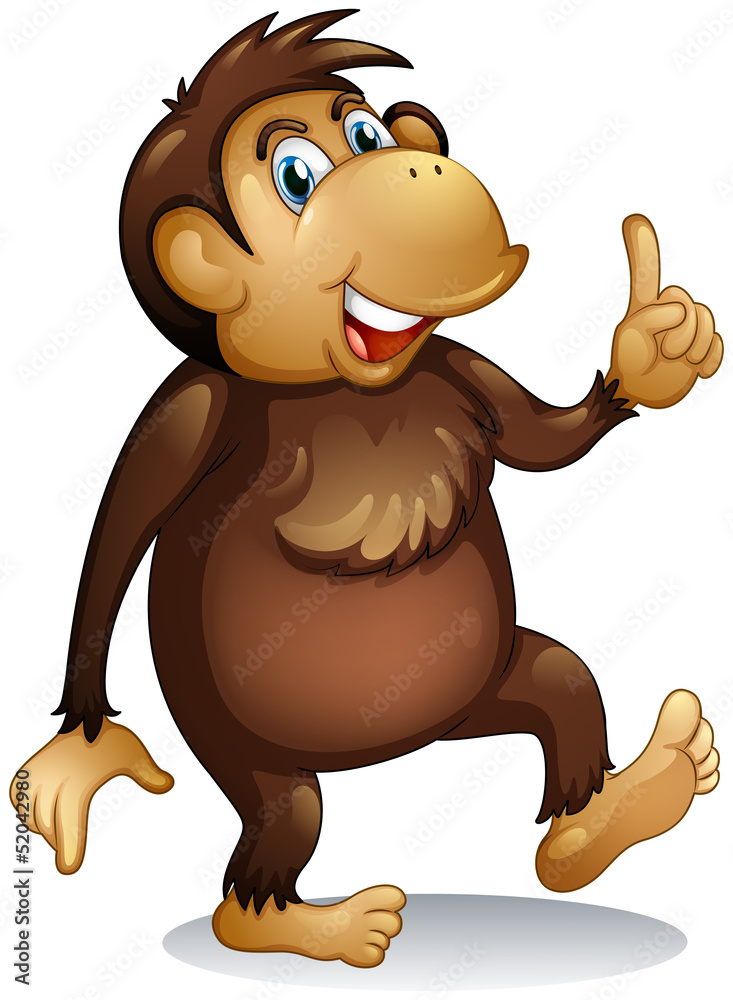 Fototapeta premium An old monkey standing