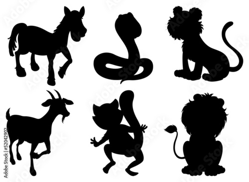 Black images of wild animals