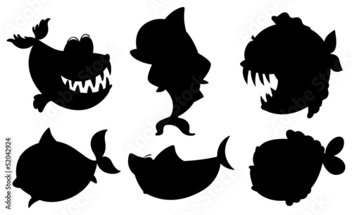 A school of black colored fishes