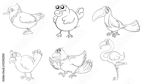 Different birds in doodle design