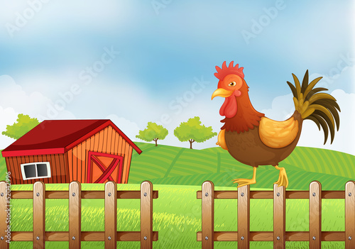 A rooster above the fence