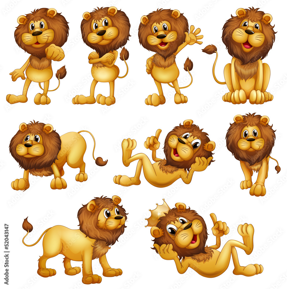 Obraz premium Lions in different positions