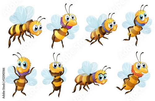 Eight bees in different positions
