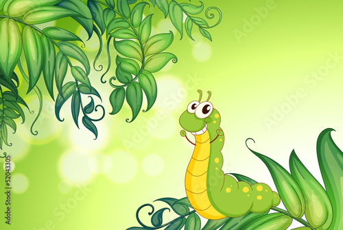 A worm crawling at the leaves