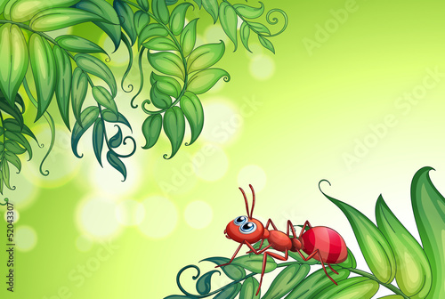 An empty stationery with an ant above the leaves