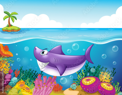 A smiling shark under the sea with corals