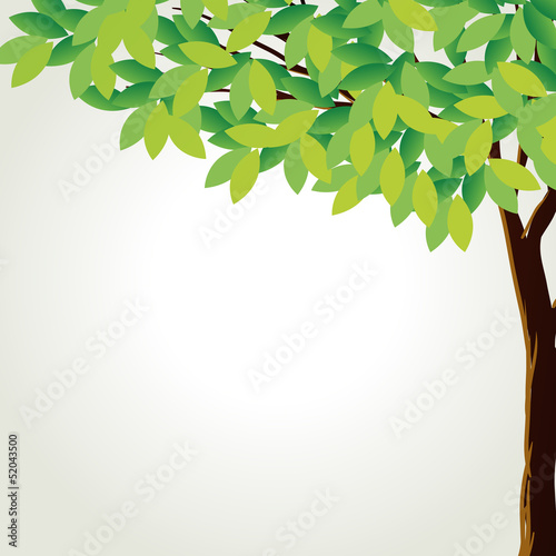 A tall tree