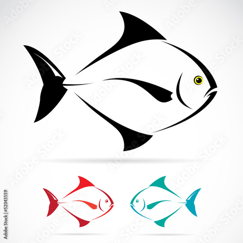 Fényképezés Vector image of an fish on white background