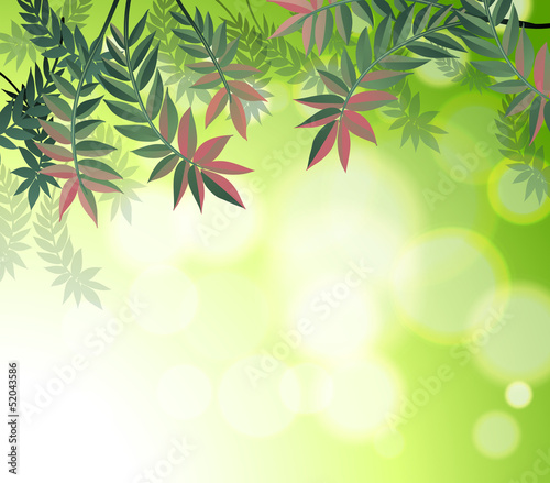 A stationery with many leaves