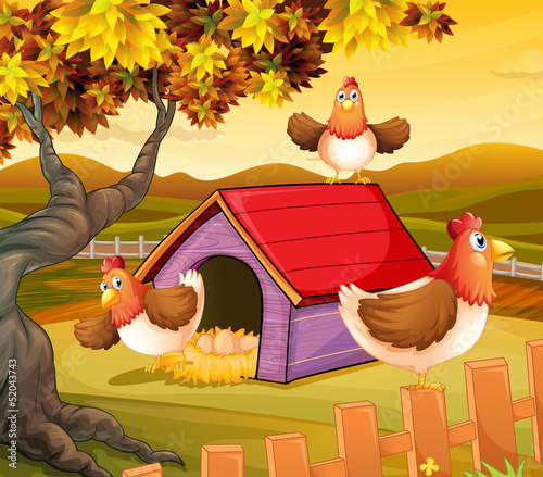 Three hens inside the fence