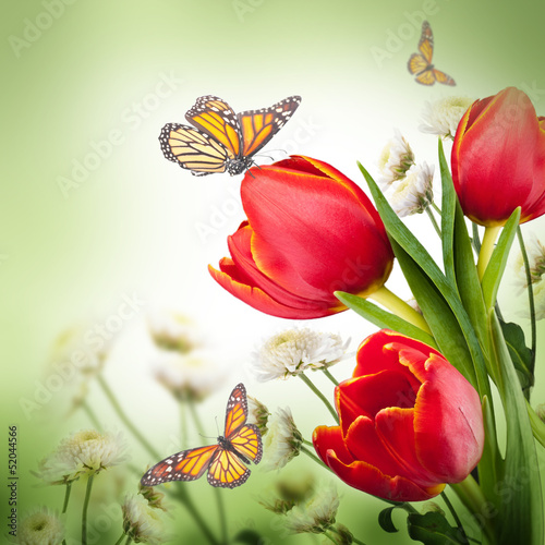 Fototapeta Naklejka Na Ścianę i Meble -  Bouquet of red tulips against a dark background and butterfly